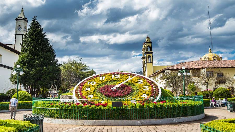 Luce precioso el Reloj Floral a la luz del sol